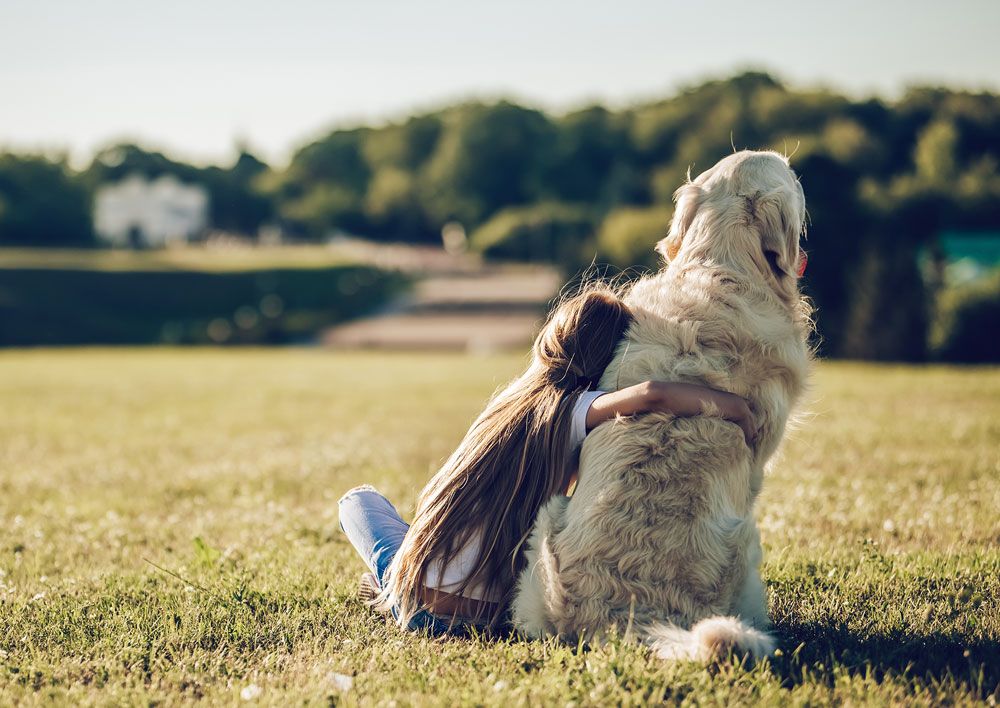 large pets welcome - homes available for rent